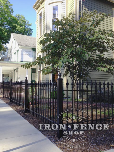 3ft Tall Wrought Iron Fence in Classic Style and Signature Grade Installed in a Historic District