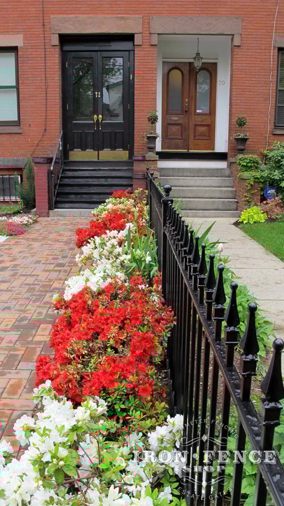 3ft Tall Traditional Grade Iron Fence Used as a Decorative Row-House Property Divider (Style #1: Classic)