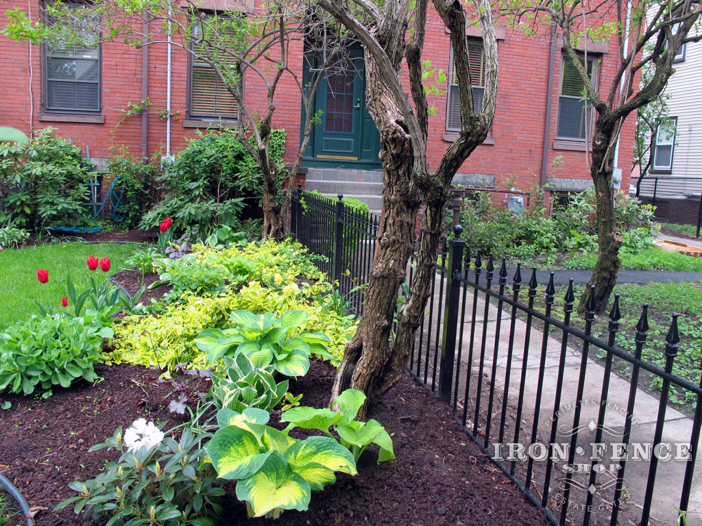 3ft Tall Traditional Grade Iron Fence Used Around a Front Yard Garden (Style #1: Classic)