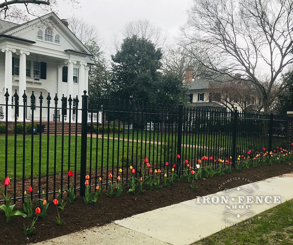 5ft Tall Classic Style Stronghold Iron Fence in Signature Grade