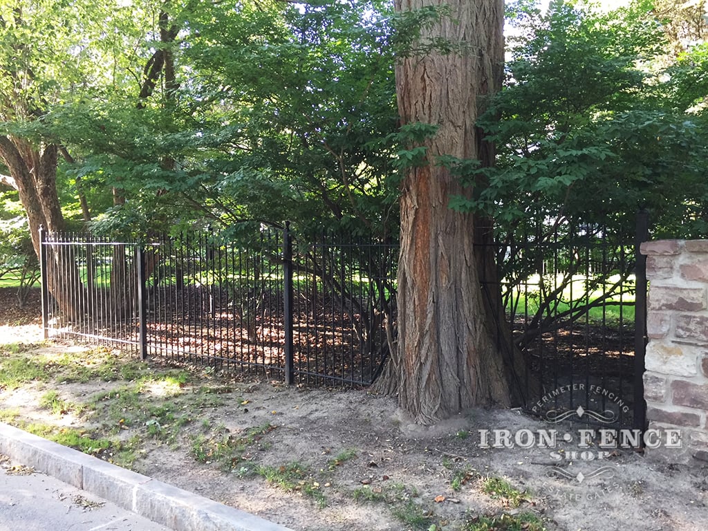 5ft Tall Classic Iron Fence Installed to Look Like its Passing Through a Tree