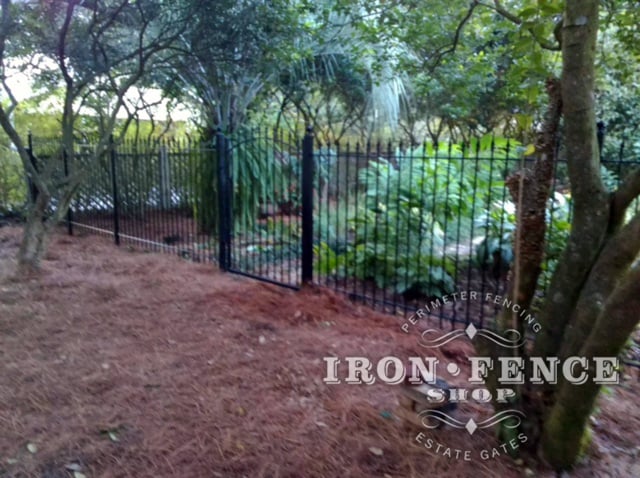5ft Tall Iron Fence with an Arched Iron Gate in Classic Style and Traditional Grade