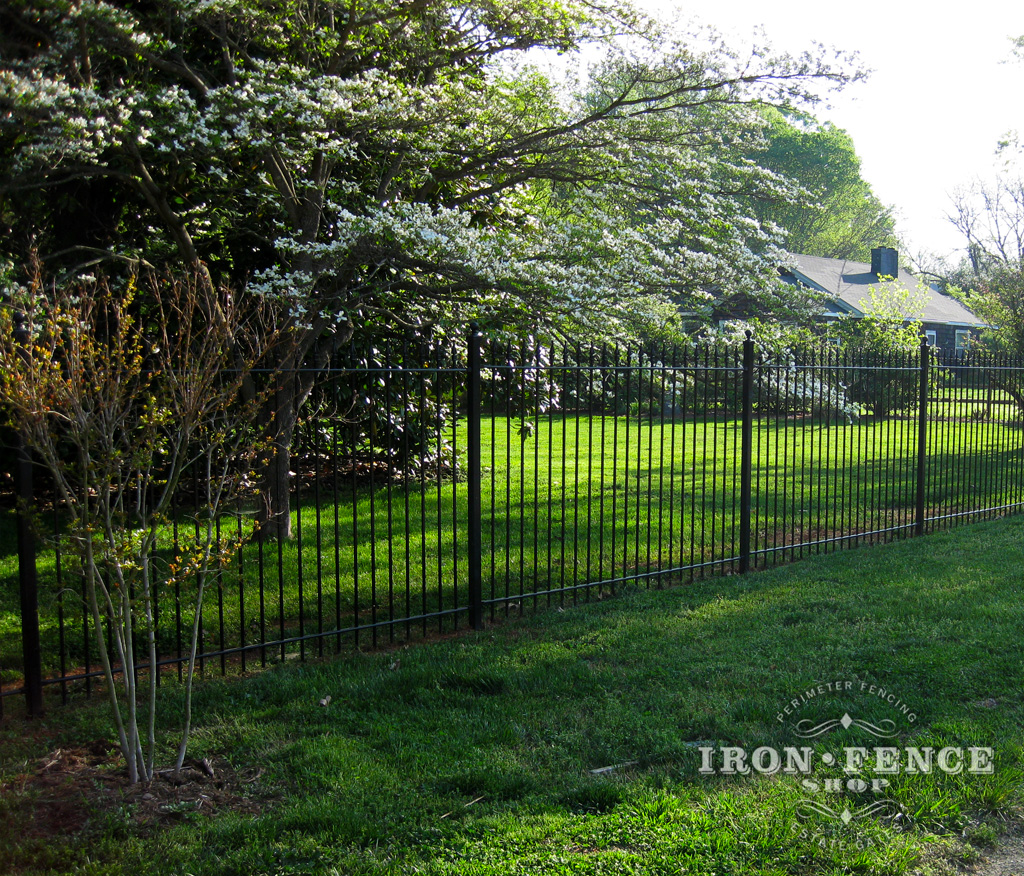 5ft Tall Traditional Grade Iron Fence in a Front Yard (Style #1: Classic)