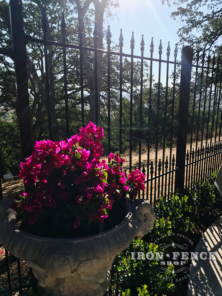 5ft Tall Prefab Iron Fence with Lower Puppy/ Dog Pickets
