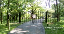 14ft Wide Iron Driveway Gate with Transition Wing Panels (6' Arching to 7'Gate)