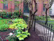 3ft Tall Traditional Grade Iron Fence Used Around a Front Yard Garden (Style #1: Classic)