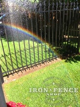 4ft Tall Wrought Iron Fence in Signature Grade with Sprinkler Rainbow