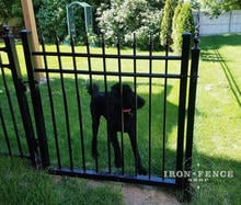 4x4 Infinity Aluminum Walk Gate in Classic Style and Traditional Grade 
