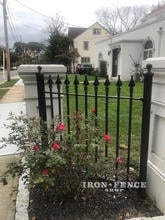 4ft Tall Signature Grade Iron Fence Panel Between Columns