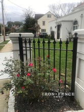 4ft Tall Signature Grade Iron Fence Panel Between Columns