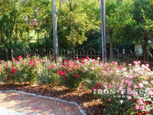 4 foot tall wrought iron hoop  and picket style fence around a flower bed