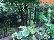 4ft Tall Hoop and Picket Style Iron Fence in a Backyard Garden Area