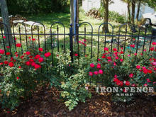 4ft tall iron fence panel in Hoop and Picket style
