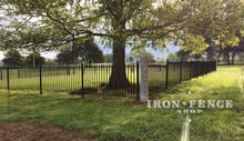 4ft Tall Stronghold Iron Fence in Classic Style and Signature Grade