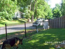 Wrought Iron Fence Makes for a Decorative Way to Keep Your Dog Contained and Safe (4ft Tall Classic in Traditional Grade)