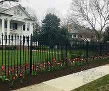 5ft Tall Classic Style Stronghold Iron Fence in Signature Grade