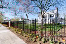5ft Tall Stronghold Iron Fence in Classic Style and Signature Grade