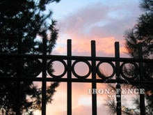 Custom Style Iron Driveway Gate with Rings and Plugged Pickets