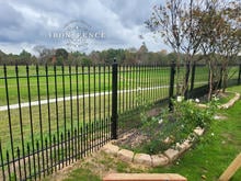 5ft tall Puppy Picket Style Iron Fence in Traditional Grade