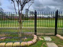 Wrought Iron Fence and Gate in Puppy Picket Style