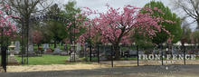 5ft Tall Classic Style Wrought Iron Fence used at a Historic Cemetery