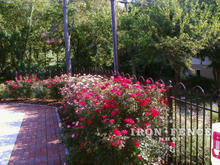 4ft iron hoop and picket fence surrounding a flower bed and patio 