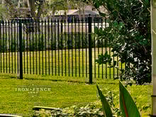 5ft Tall Classic Style Iron Fence in Signature Grade