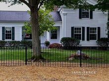 3ft Tall Classic Style Iron Fence in Traditional Grade