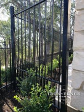 5ft Tall Puppy Picket Style Prefab Iron Fence in Traditional Grade